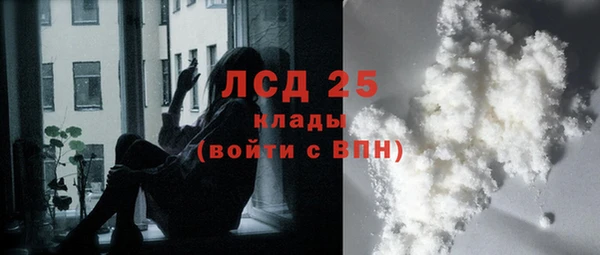 шишки Аркадак