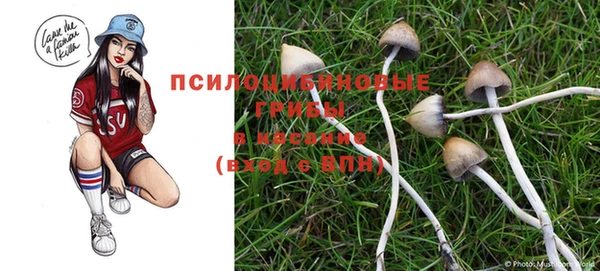 герыч Богданович