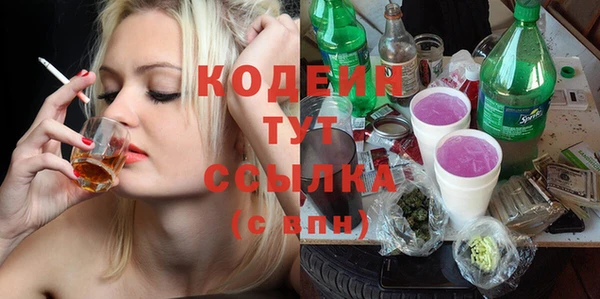 шишки Богородицк
