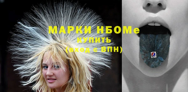 шишки Аркадак