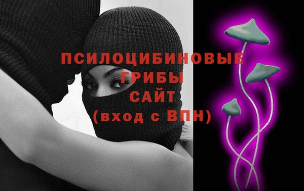 шишки Богородицк
