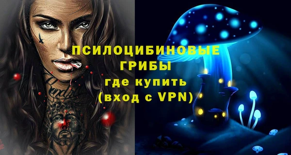 шишки Аркадак