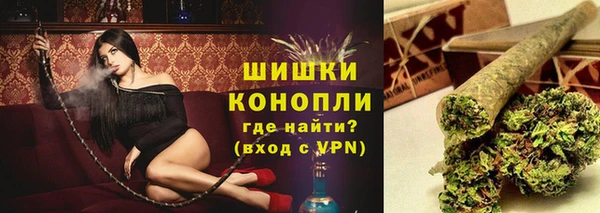 гашик Богородск