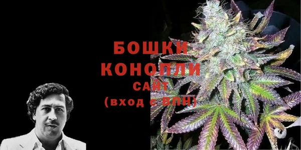 шишки Богородицк