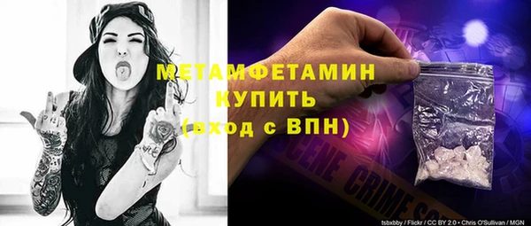 шишки Богородицк