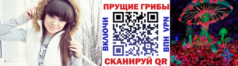 мориарти состав  Козьмодемьянск  Псилоцибиновые грибы GOLDEN TEACHER 